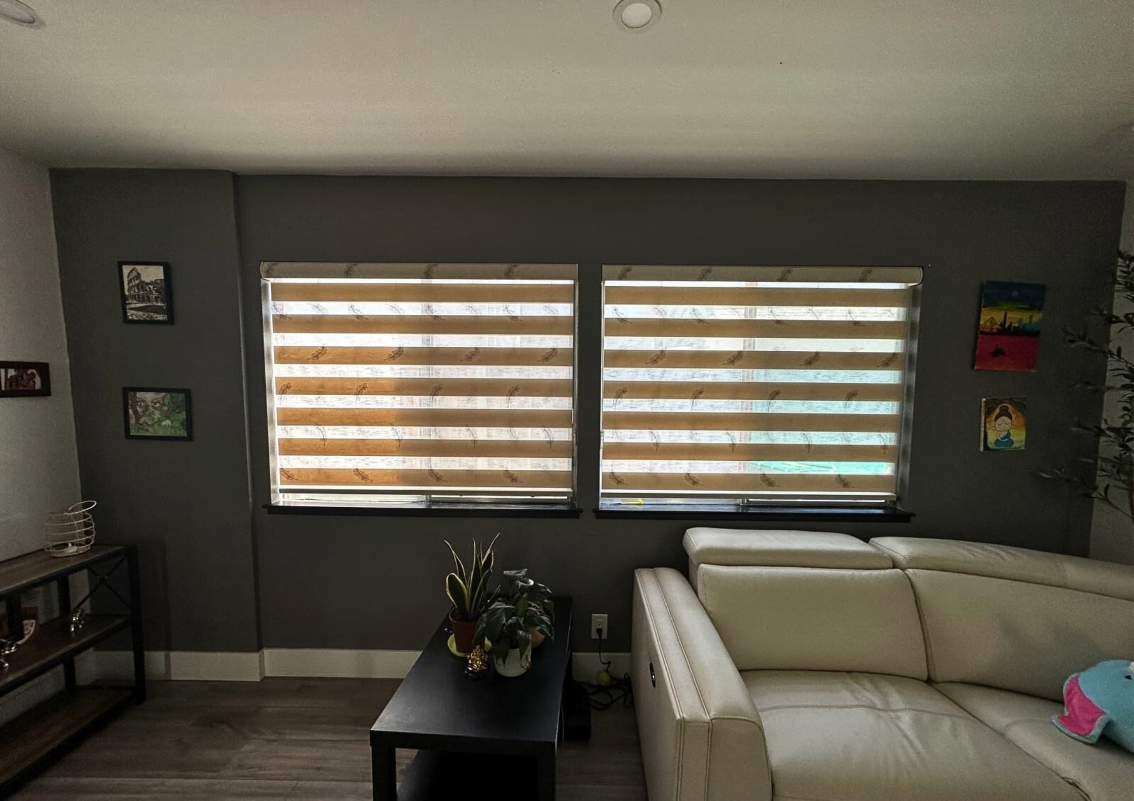Living Room Zebra Shades